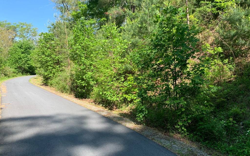 Hayesville, NC 28904,Lot 4A Trillium Heights