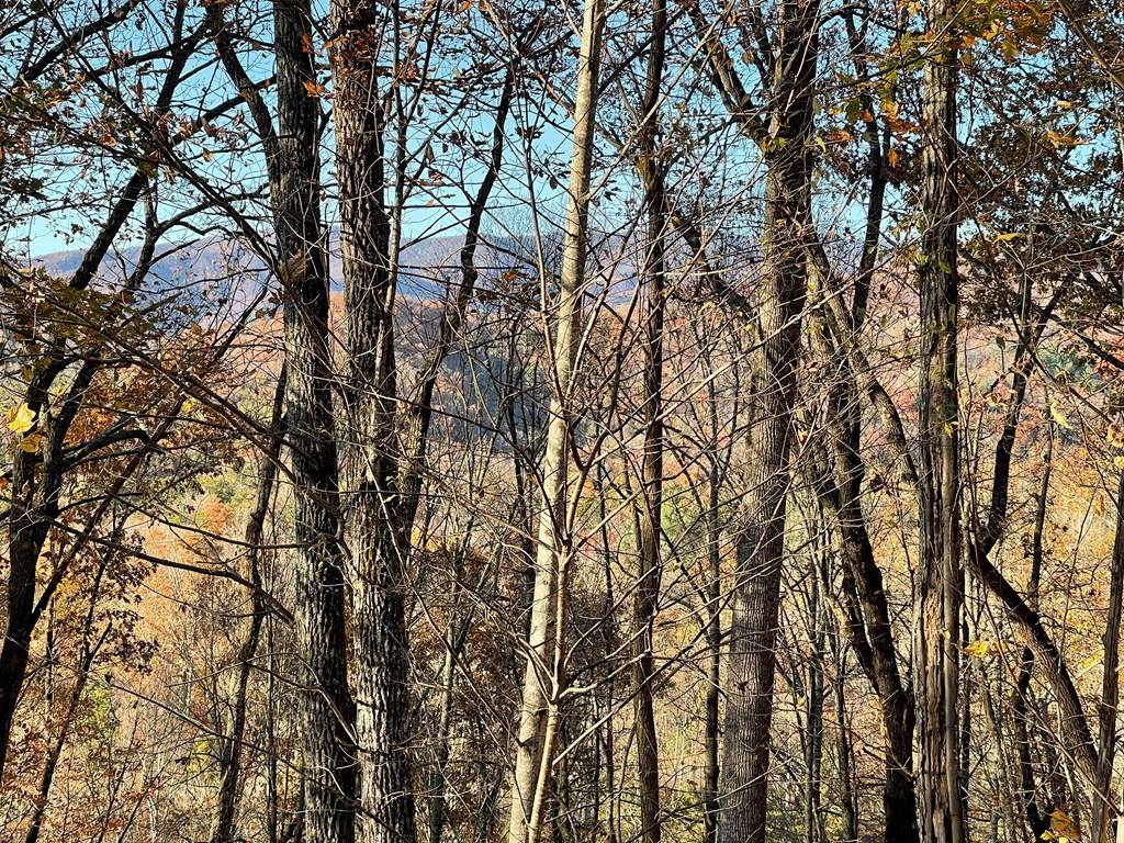 Hayesville, NC 28904,40M Mountain Harbour