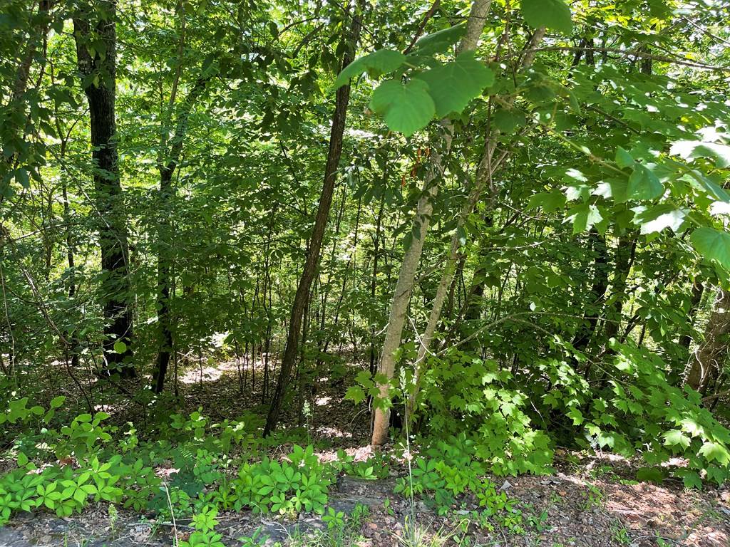 Hayesville, NC 28904,Lot 33B Grandview Drive