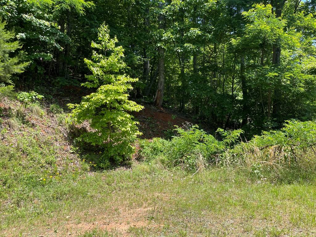 Hayesville, NC 28904,Lot 33B Grandview Drive