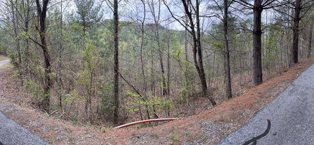 Murphy, NC 28906,54,55,58 Choctaw Ridge Trail