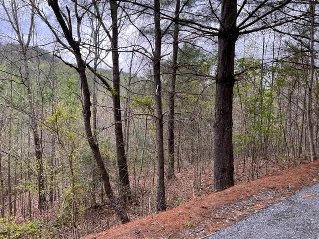 Murphy, NC 28906,54,55,58 Choctaw Ridge Trail