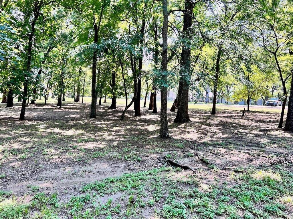 Streetman, TX 75859,Lot 58 Stonewall Drive