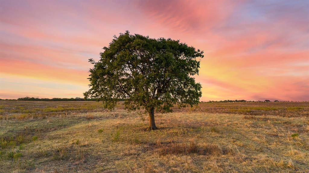 Axtell, TX 76624,TBD Elk Road