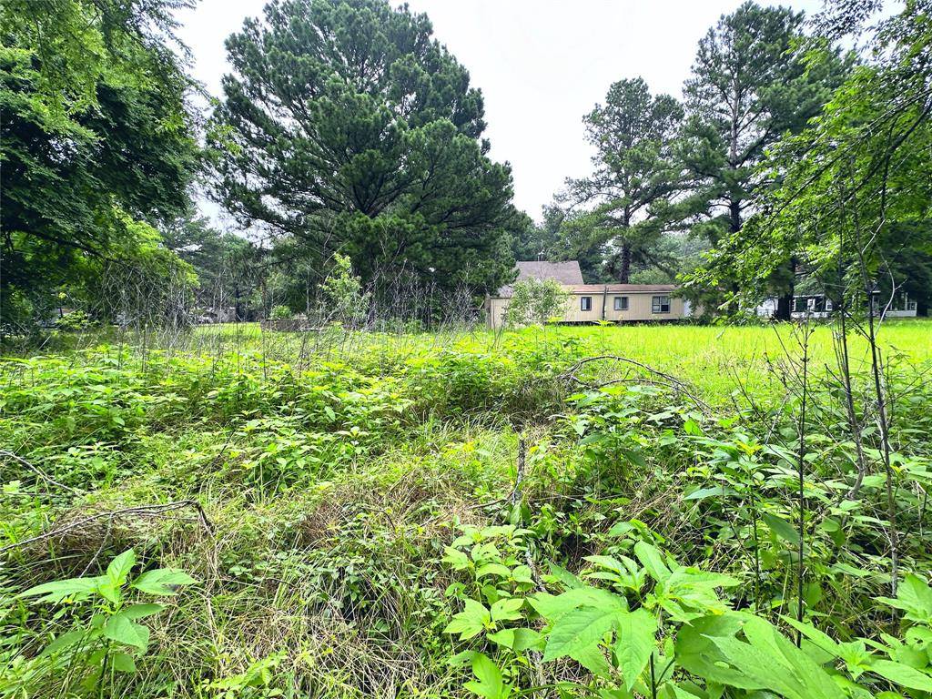 Streetman, TX 75859,Lot 2 Cypress Avenue