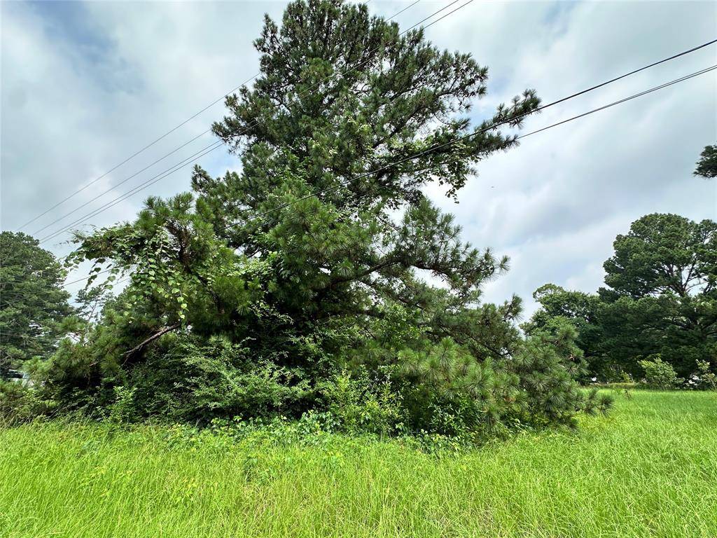 Streetman, TX 75859,Lots 26 & 27 Ashley Avenue