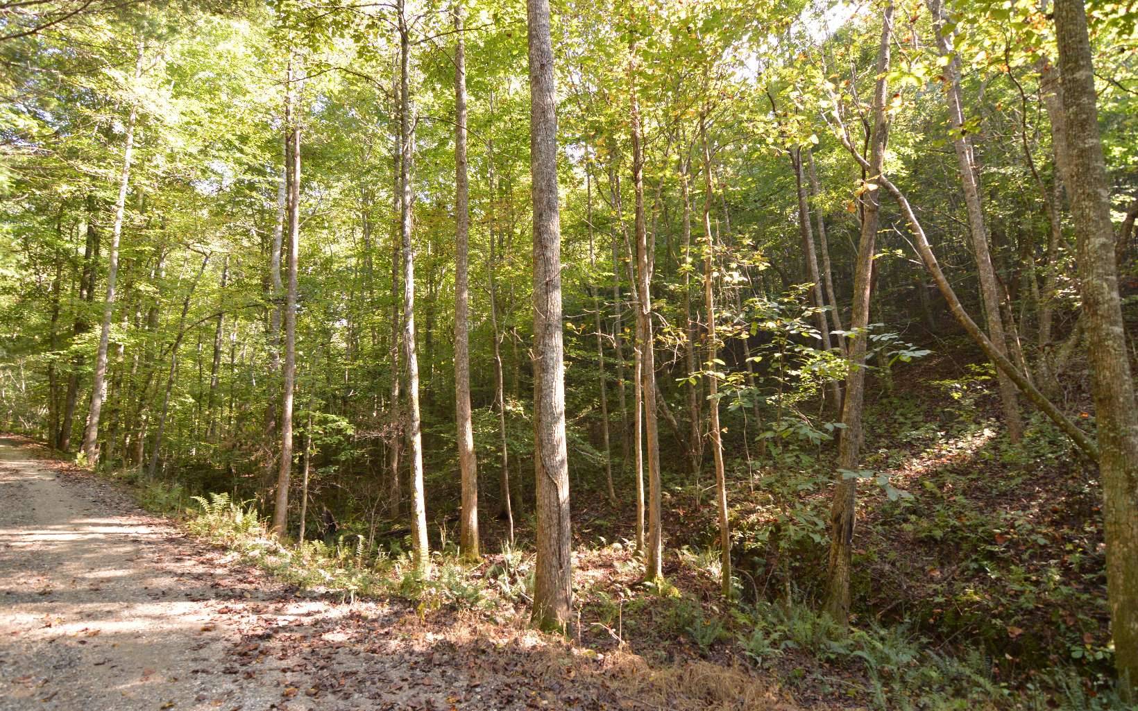 Blairsville, GA 30512,LT 12 Ansley Lane