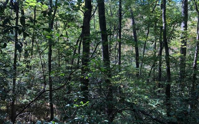 Blairsville, GA 30512,Riverbend Rd Lot E