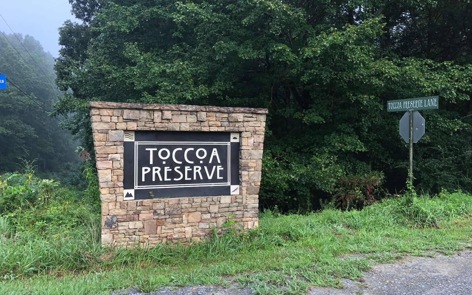 Blue Ridge, GA 30513,LOT 5 Toccoa Preserve Lane