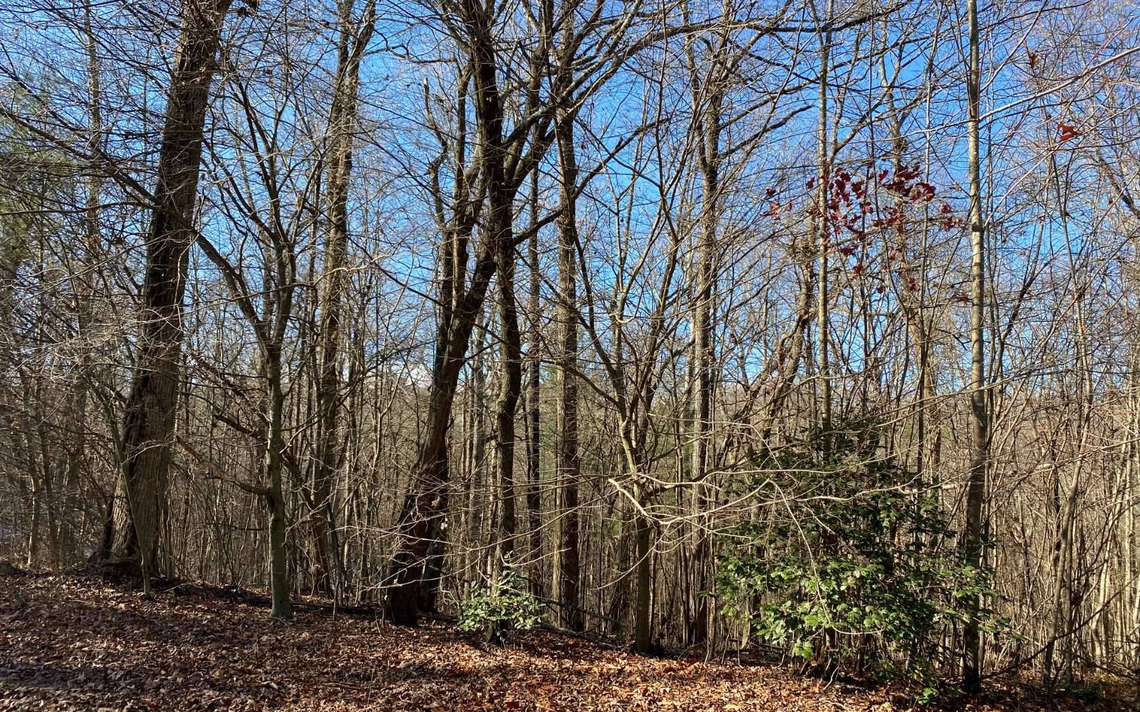 Blue Ridge, GA 30513,LOT 5 Toccoa Preserve Lane