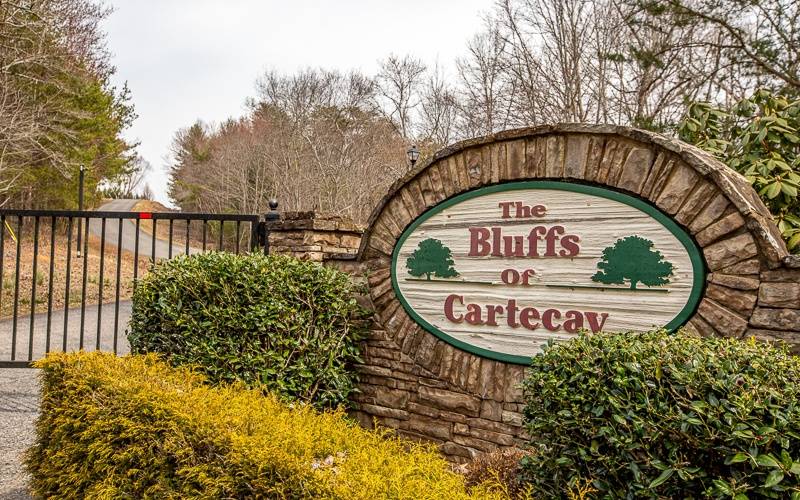 Ellijay, GA 30540,L77 Bluffs Of Cartecay