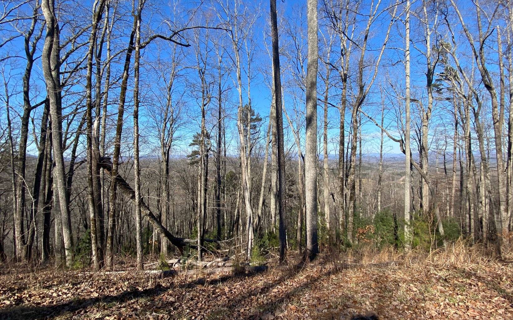 Morganton, GA 30560,LOT25 Scouts Ridge Road