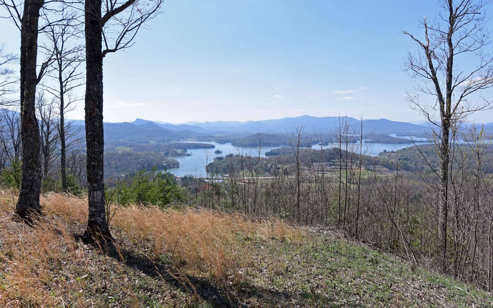 Hayesville, NC 28904,LOT15 Bell Lake View