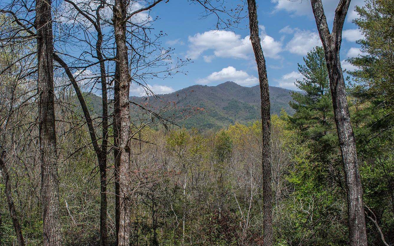 Hayesville, NC 28904,LT 21 White Pine Ridge