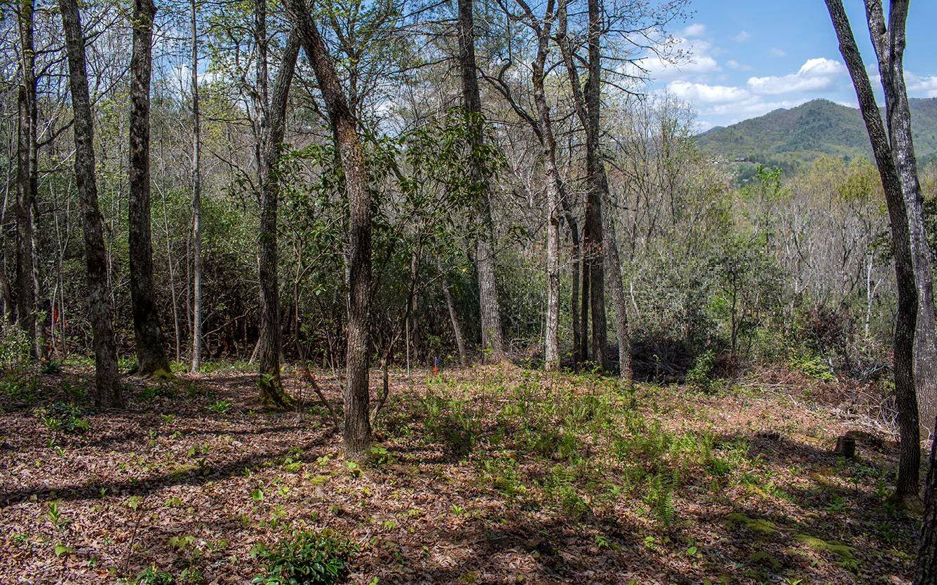 Hayesville, NC 28904,LT 21 White Pine Ridge