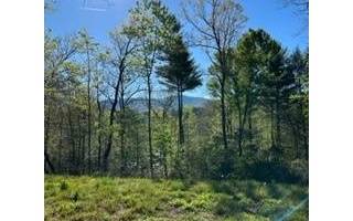 Ellijay, GA 30540,0 Pocola Court