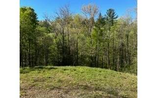 Ellijay, GA 30540,0 Pocola Court