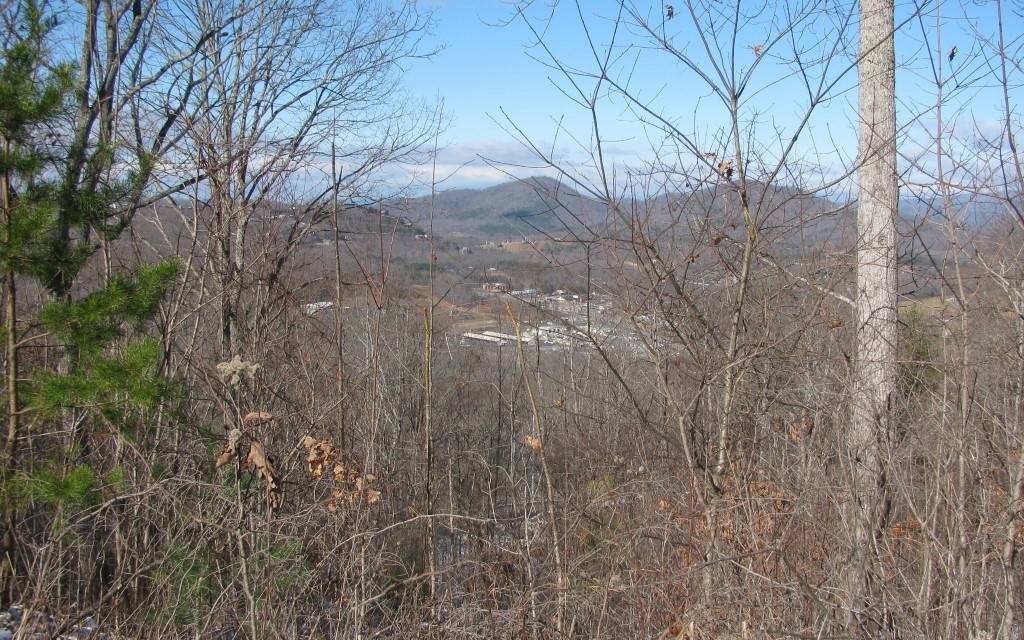 Hiawassee, GA 30546,Laurel Ridge Lane