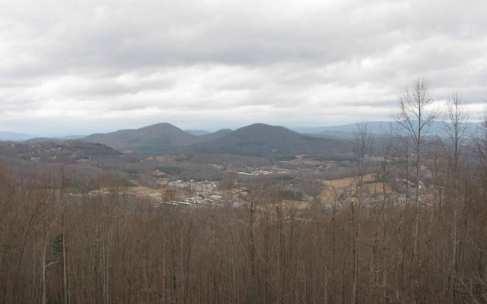 Hiawassee, GA 30546,Laurel Ridge Lane