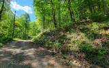 Ellijay, GA 30540,L 336 Brushy Top Drive