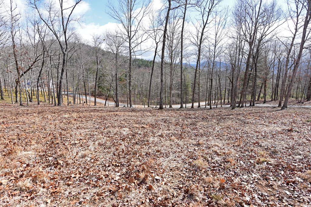 Blairsville, GA 30512,Lot 98 The Hills at Queens Gap