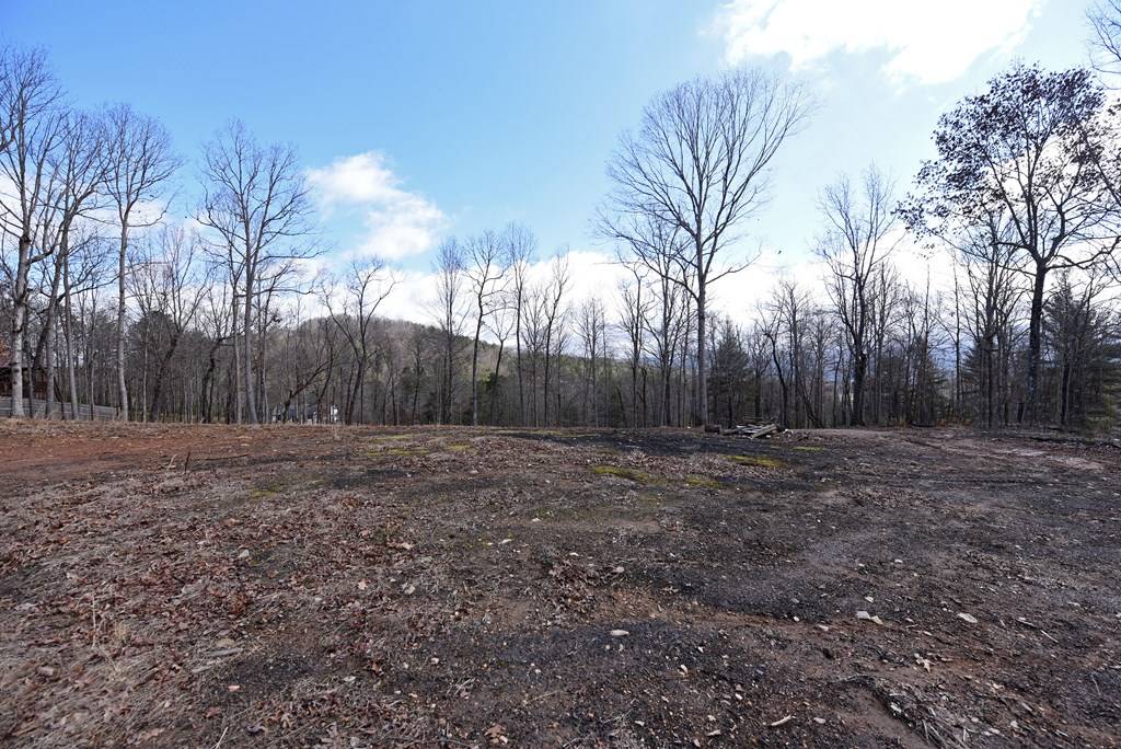 Blairsville, GA 30512,Lot 98 The Hills at Queens Gap