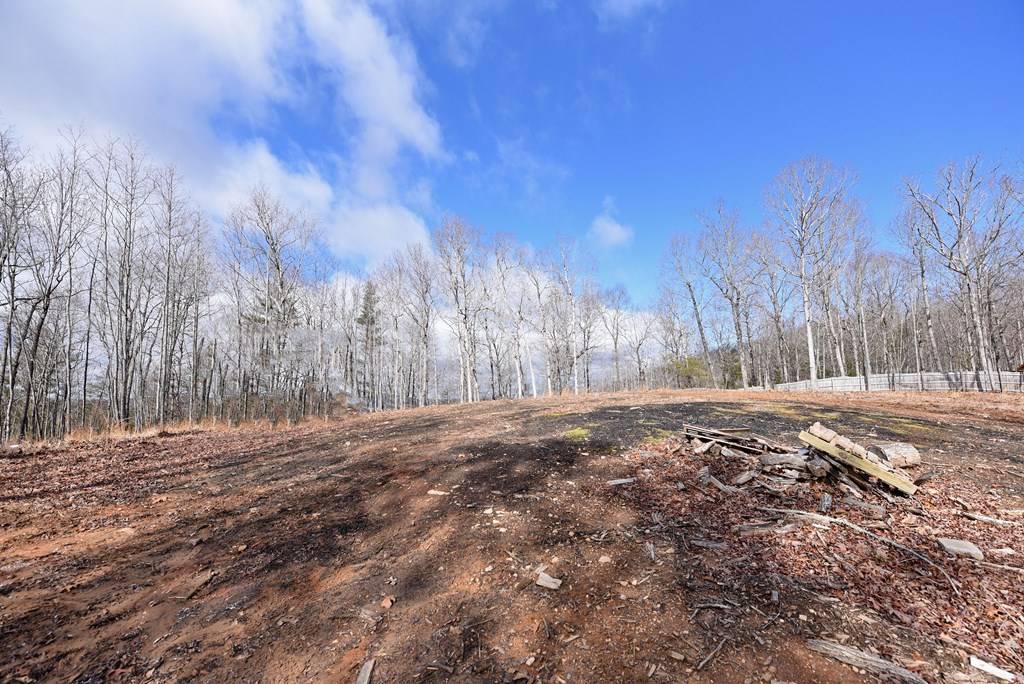 Blairsville, GA 30512,Lot 98 The Hills at Queens Gap