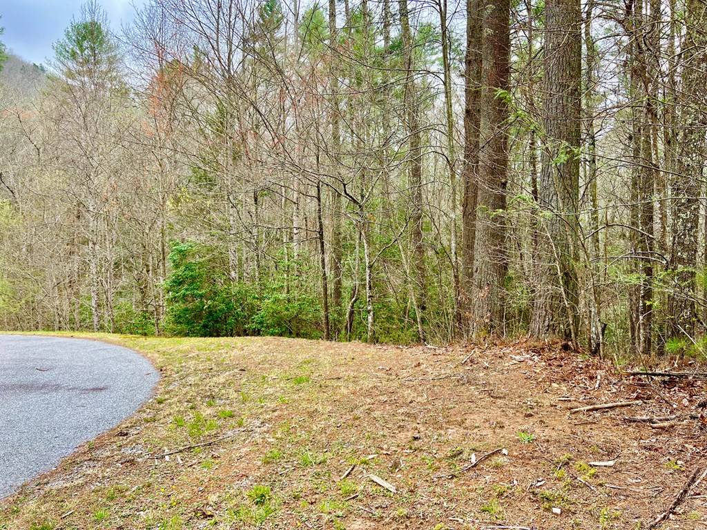 Mineral Bluff, GA 30559,00 Walker Ridge