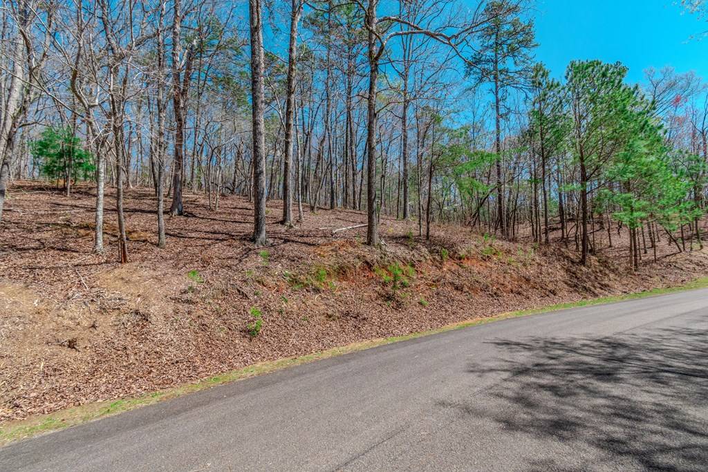 Ellijay, GA 30540,Lot 188 Harris Ridge Lane