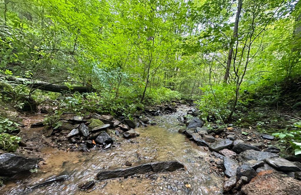 Ellijay, GA 30540,10.45 AC Bushy Head Road