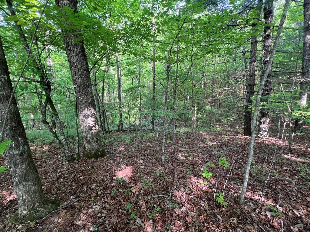 Murphy, NC 28906,9 + Acre Leonard Lane