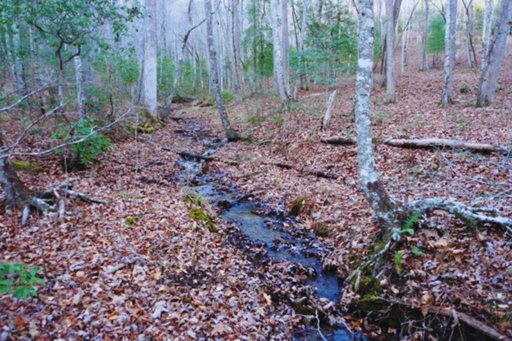 Hayesville, NC 28904,Lot 23 Shelton Springs Drive