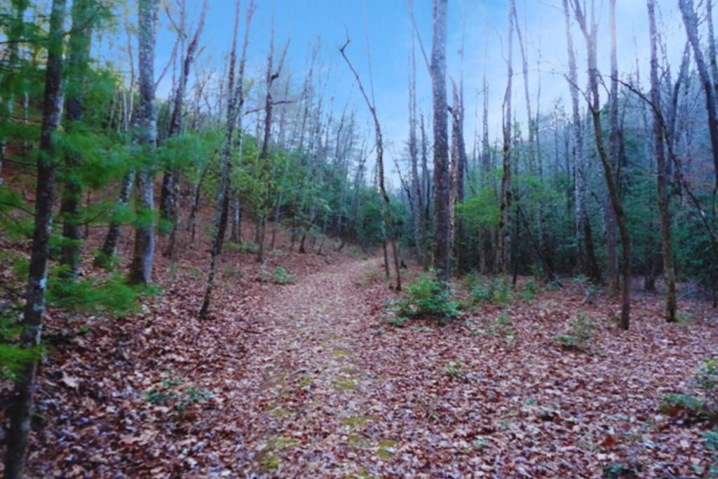 Hayesville, NC 28904,Lot 23 Shelton Springs Drive