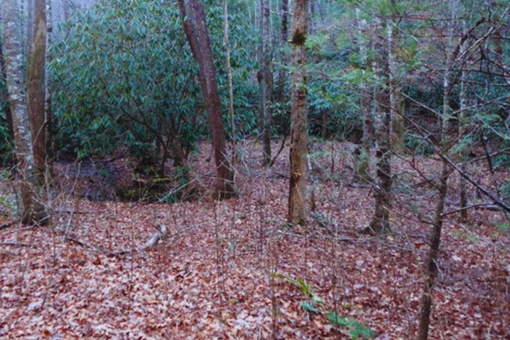 Hayesville, NC 28904,Lot 23 Shelton Springs Drive