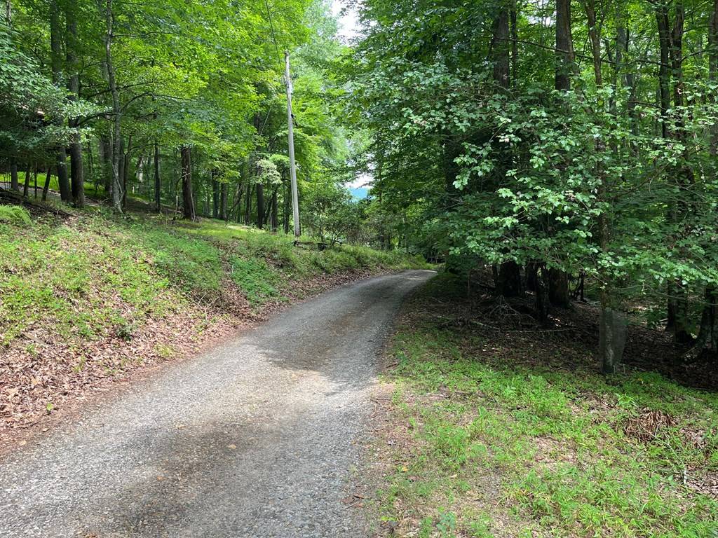 Brasstown, NC 28902,33.4 ac Caldwell Road