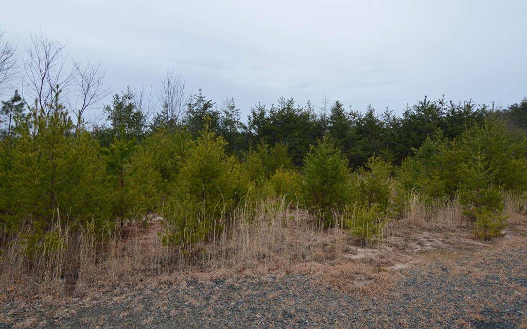 Hayesville, NC 28904,Lot 2 Preserve at Beach Mtn