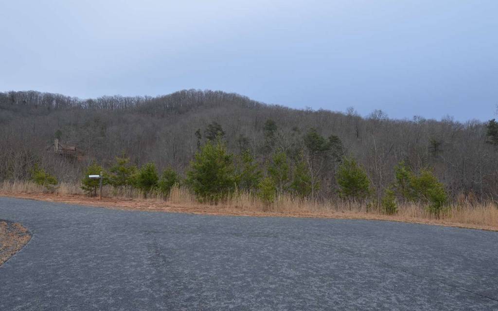 Hayesville, NC 28904,Lot 2 Preserve at Beach Mtn