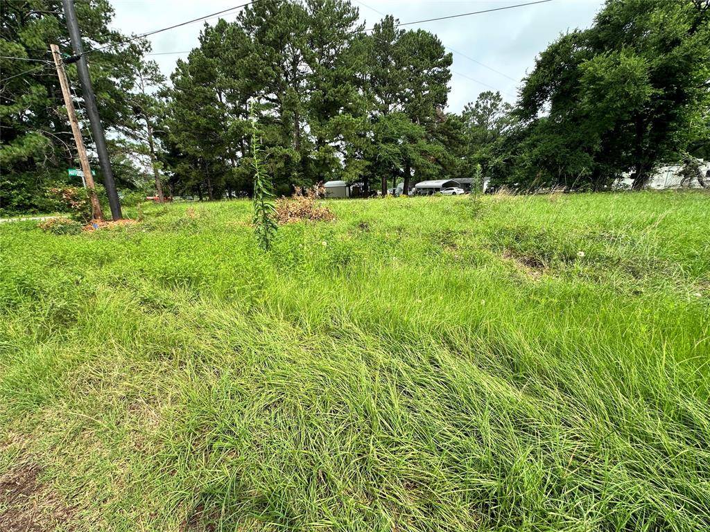 Streetman, TX 75859,Lot 29 Ashley Avenue