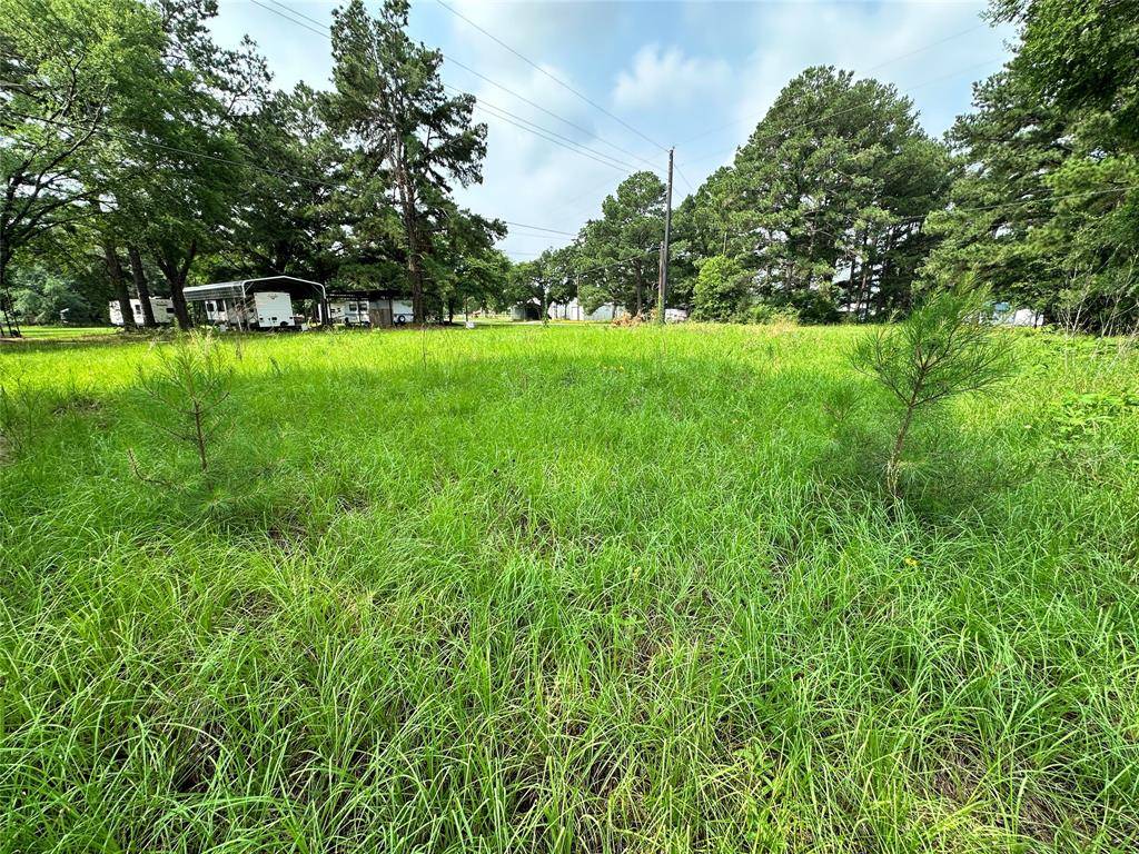 Streetman, TX 75859,Lot 28 Ashley Avenue