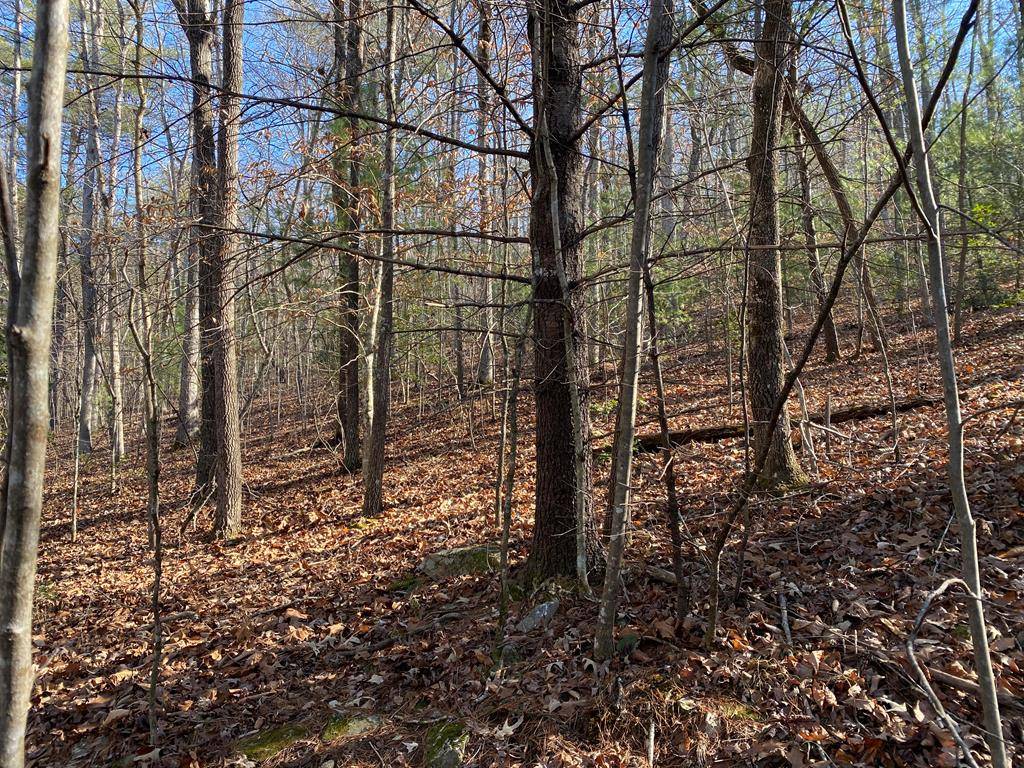 Blairsville, GA 30512,lot 13 Acres Townhouse Cir