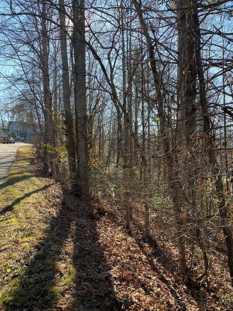 Blairsville, GA 30512,lot 13 Acres Townhouse Cir