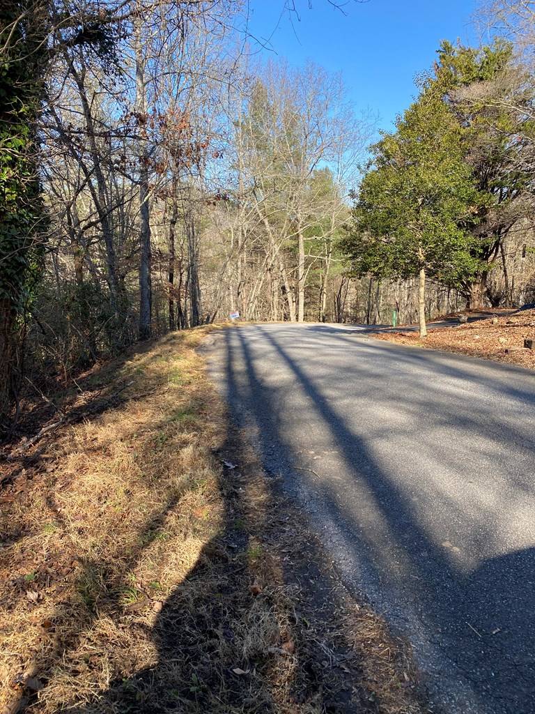 Blairsville, GA 30512,Lot 14 Acres Townhouse Cir