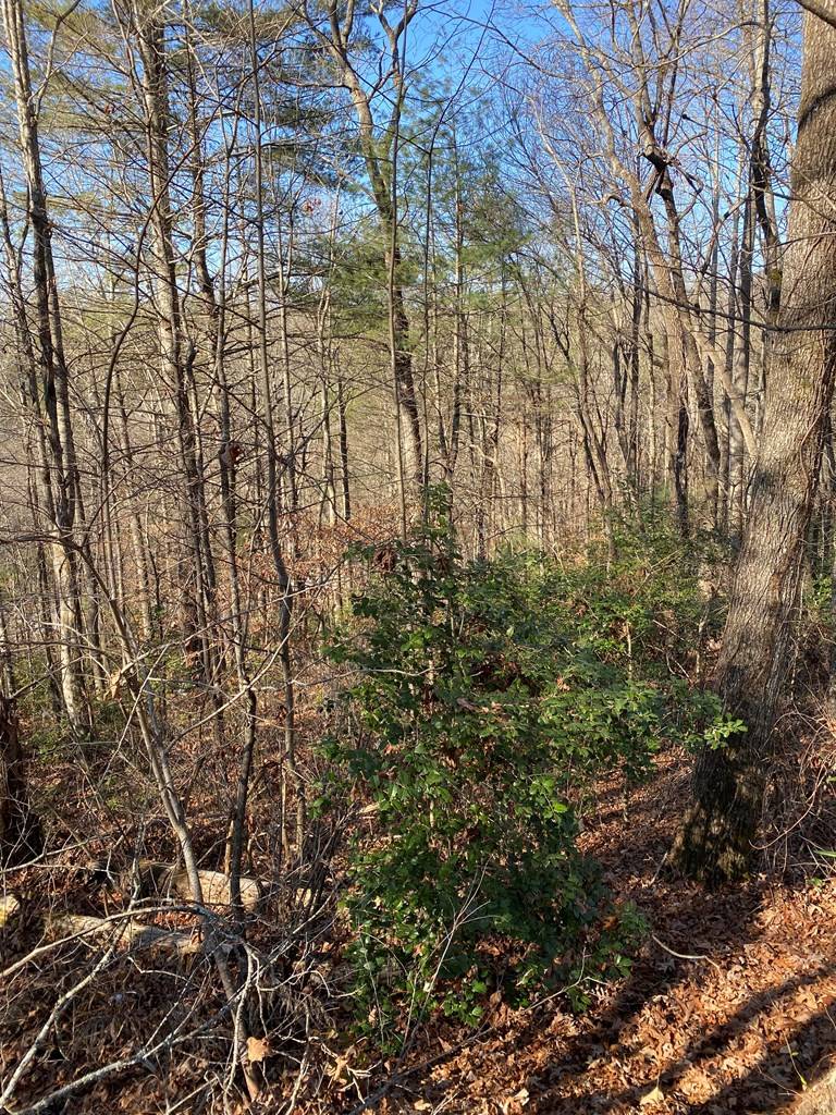 Blairsville, GA 30512,lot 15 Acres Townhouse Cir