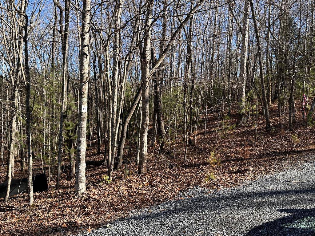 Morganton, GA 30560,lot 19 Fairview Drive