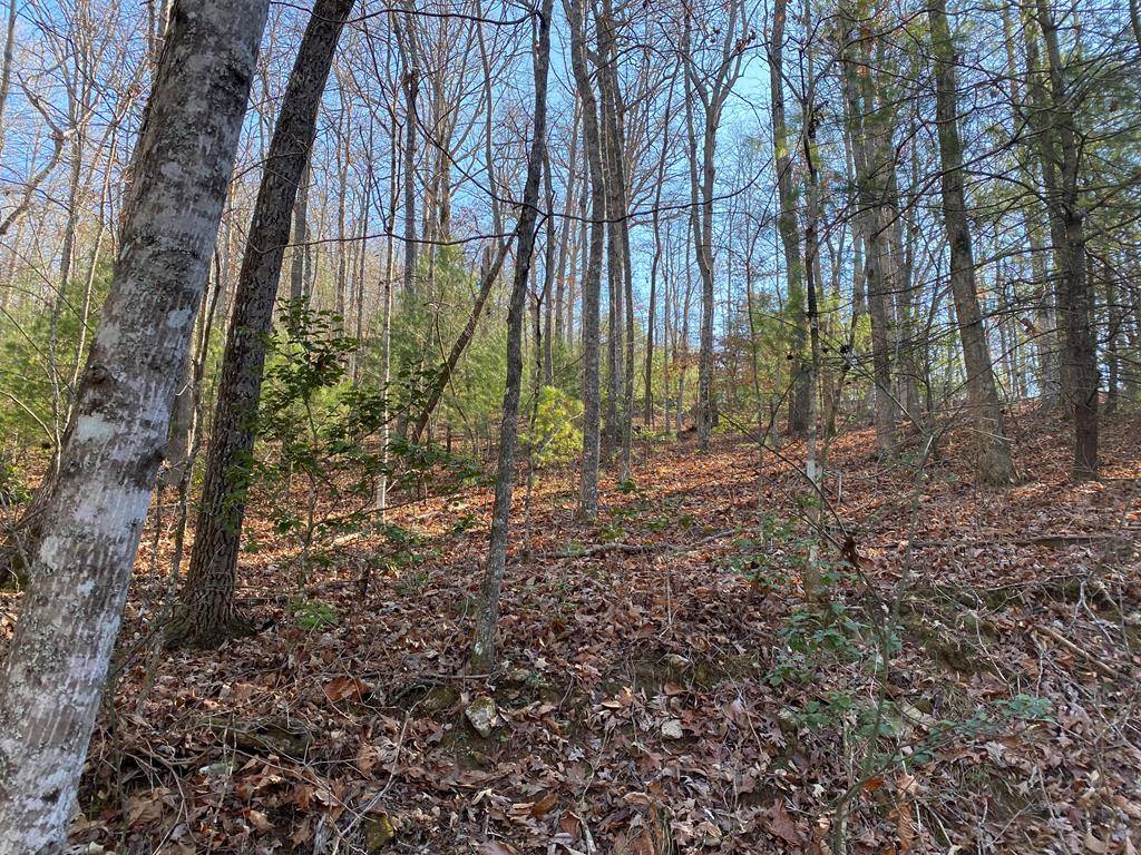 Blairsville, GA 30512,lot 17 Acres Townhouse Cir