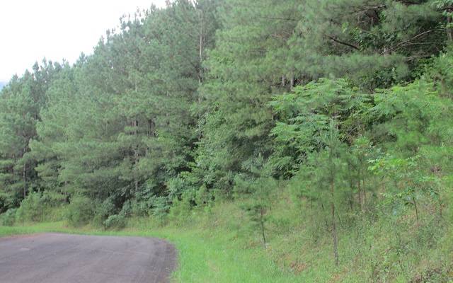 Ellijay, GA 30536,LT34 Foxpaw Leaf Lane