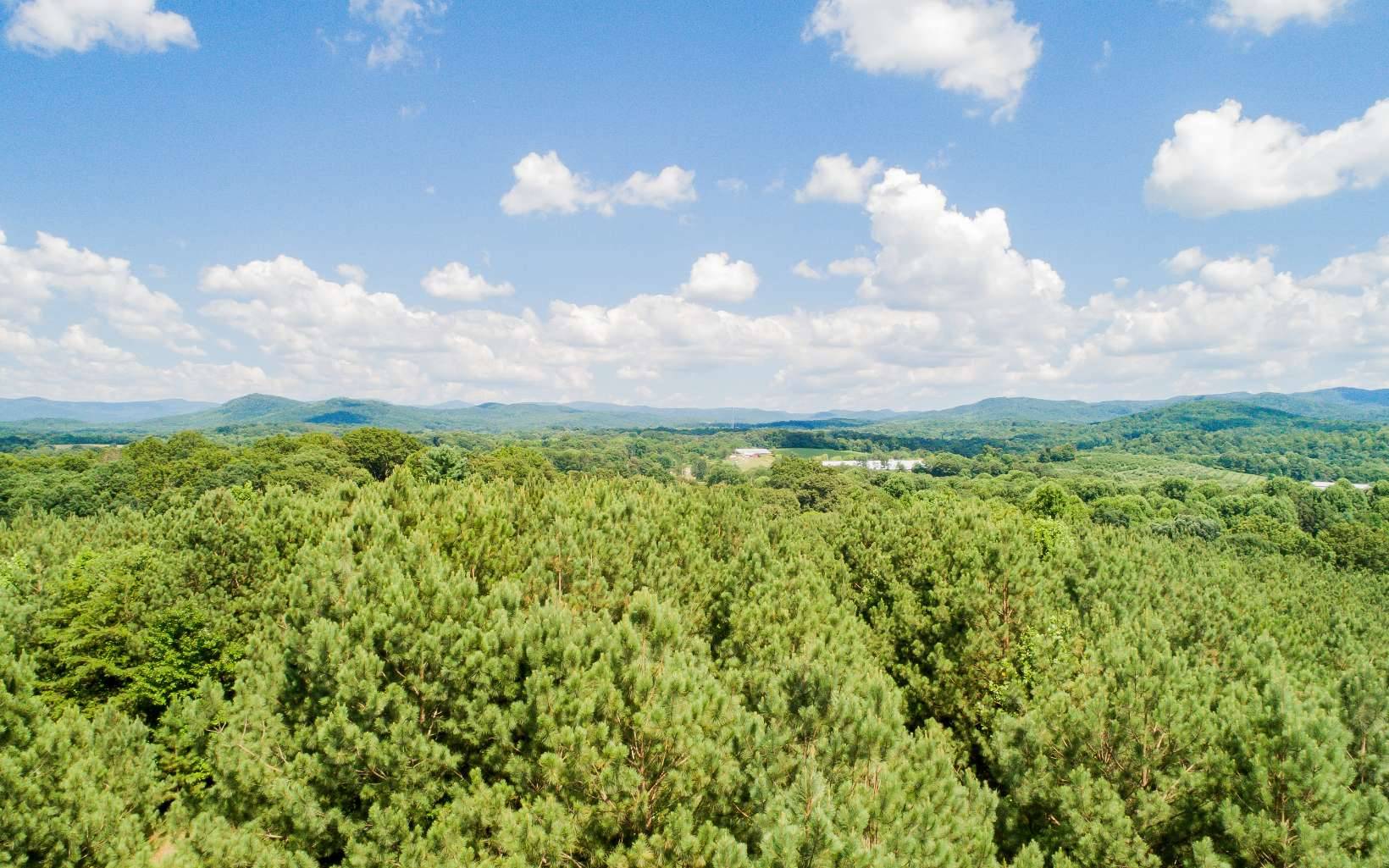 Ellijay, GA 30536,LT34 Foxpaw Leaf Lane