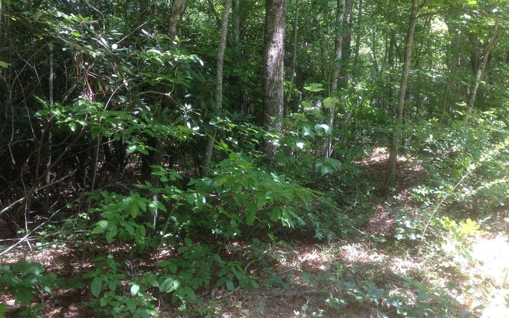 Hayesville, NC 28904,LOT 9 Penland Indian Trail