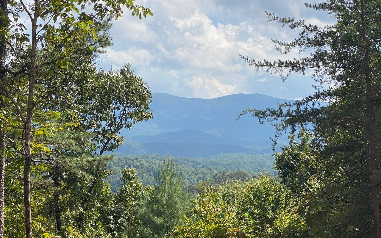 Ellijay, GA 30540,LOT 2 Bryant Farm Road