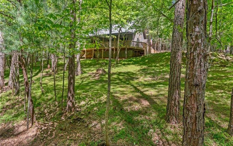 Ellijay, GA 30536,19 Blackberry Falls Lane